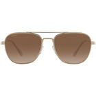 NAVIGATOR, Gold-Mineral Polarized Drivers Gradient Cat 2 to 3, hi-res image number null